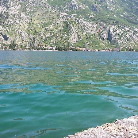 Apartment Radovic Kotor Zewnętrze zdjęcie