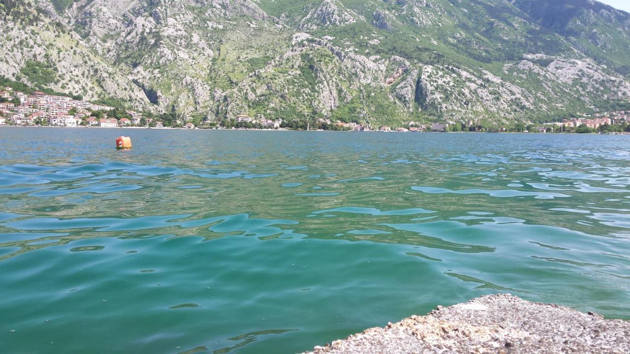 Apartment Radovic Kotor Zewnętrze zdjęcie