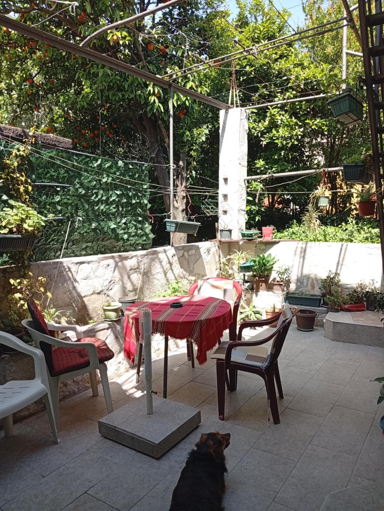 Apartment Radovic Kotor Zewnętrze zdjęcie